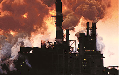 Direct Action white paper released