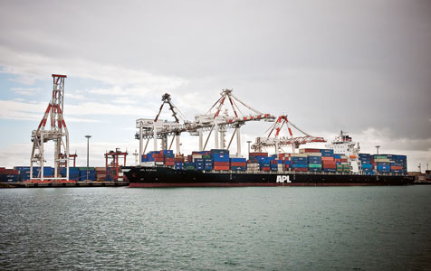 Nalder orders ports review