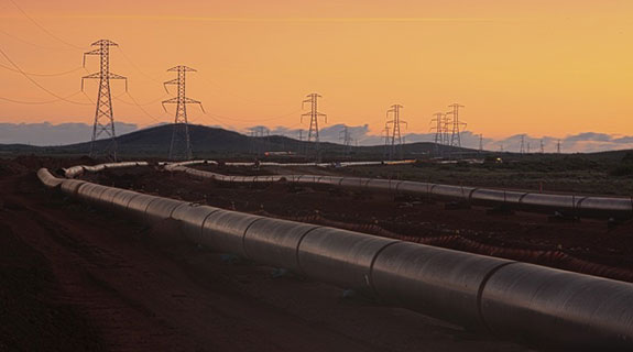 Murphy denies visa fraud allegations