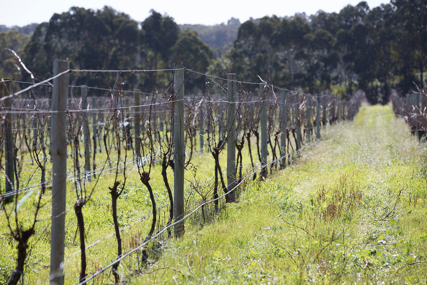 Mark my words podcast