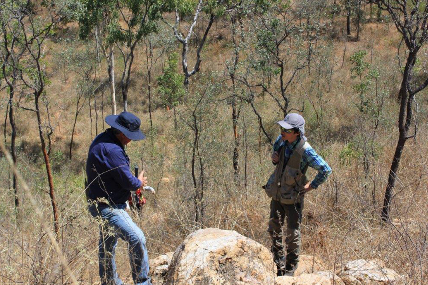 Marindi shares jump on Japanese MOU