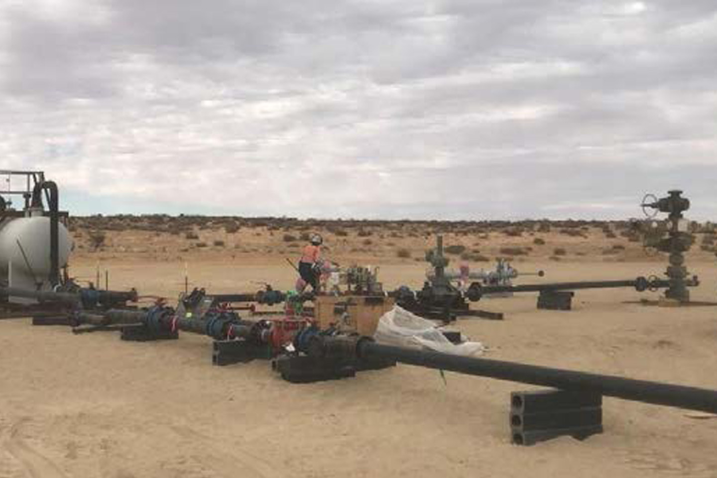 Ducks all lining up in a row for Strike