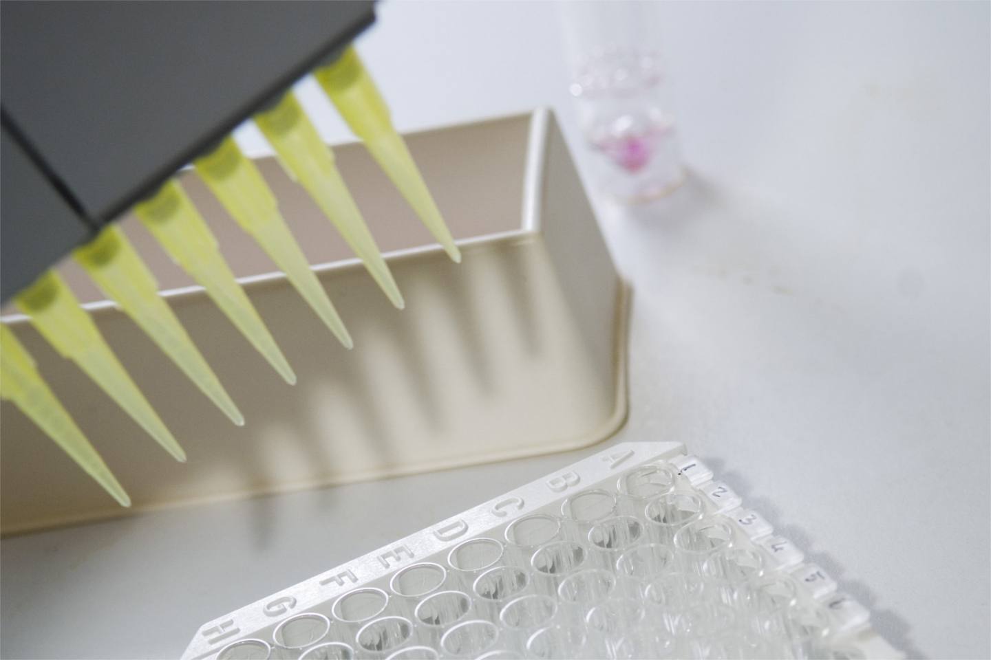 Phylogica on verge of peptide vaccine breakthrough