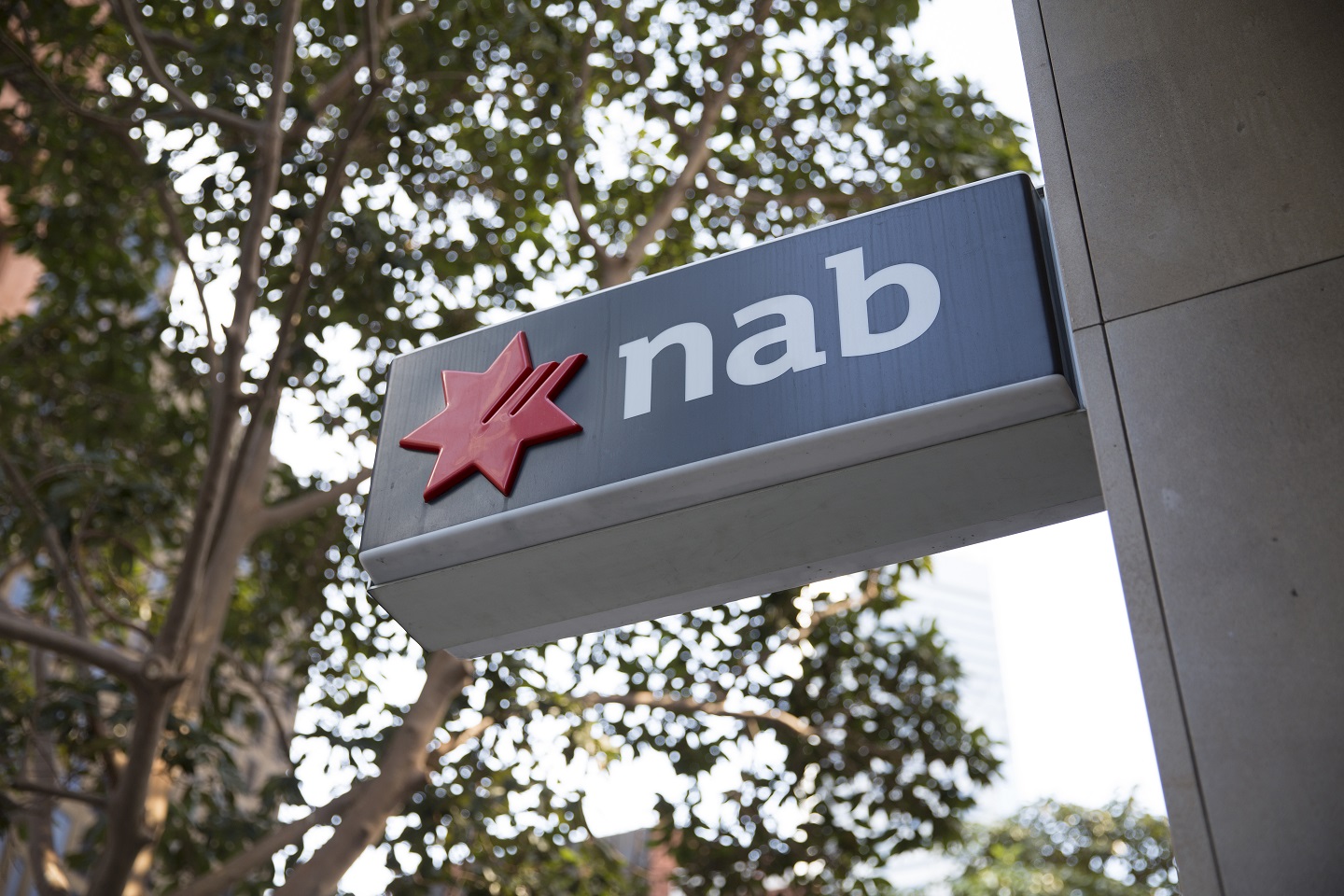 Hayne takes aim at bank bosses’ responses