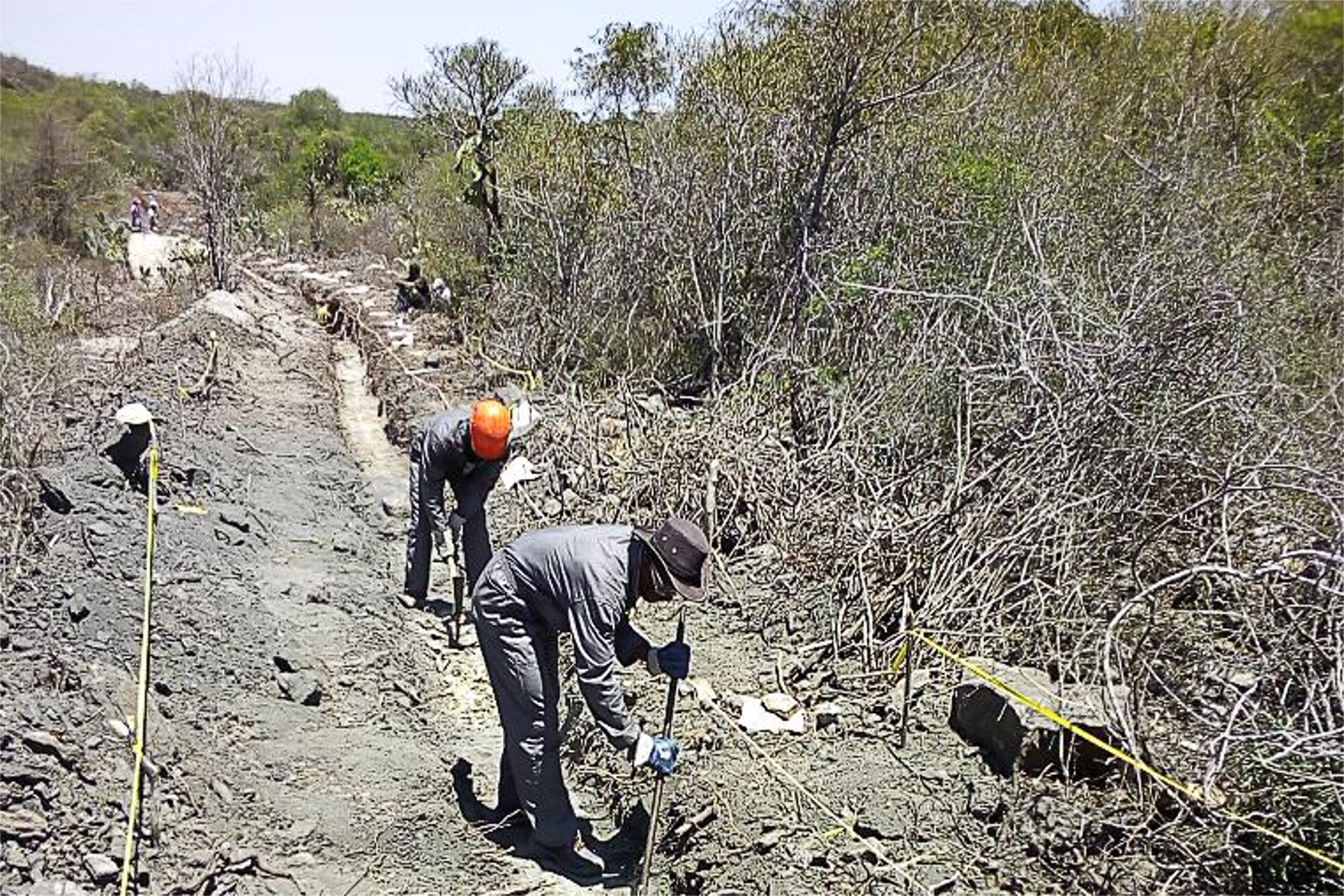 More high grade graphite for BlackEarth in Madagascar