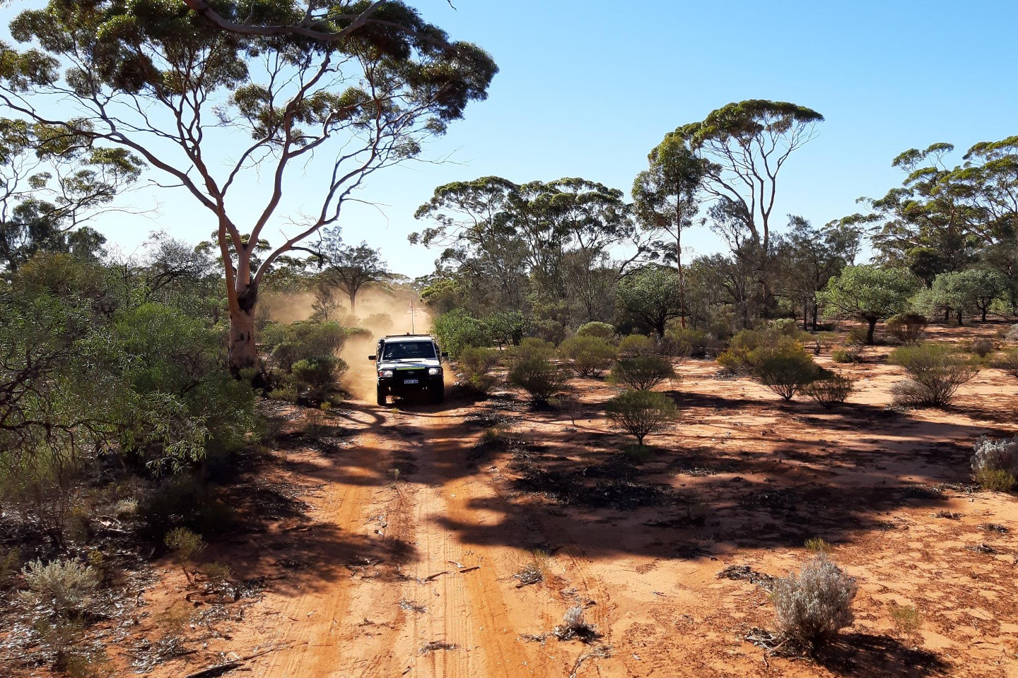 Area D defined as key Fraser Range target for Legend