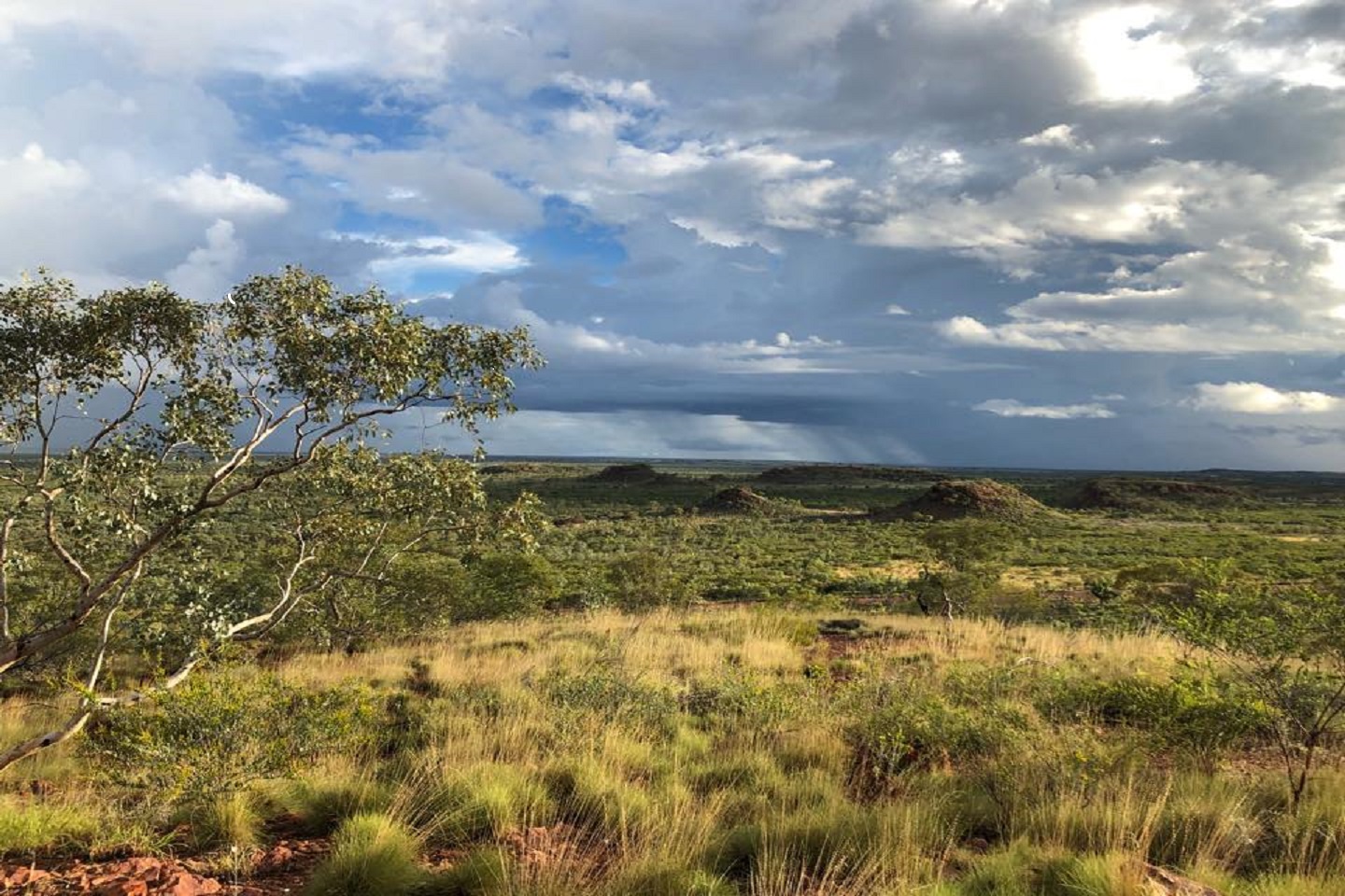 Tennant Creek beckons for Blina as RC campaign starts