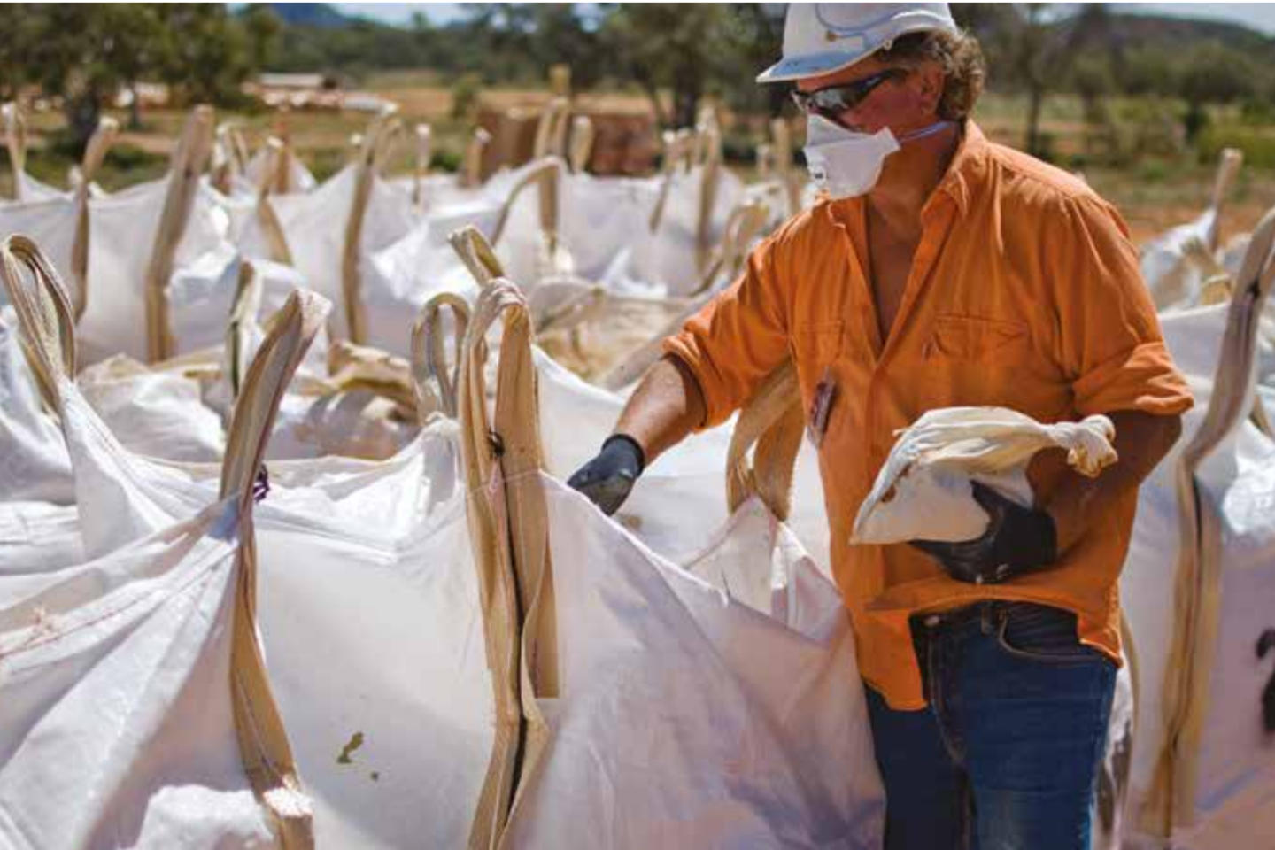 Arafura finds project management partner for Nolans