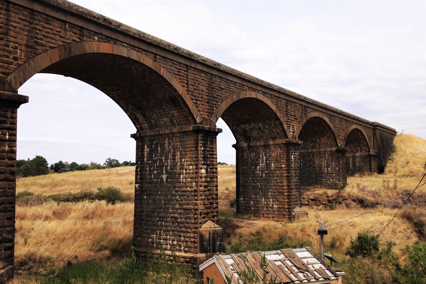 Novo joins Victorian gold hunt