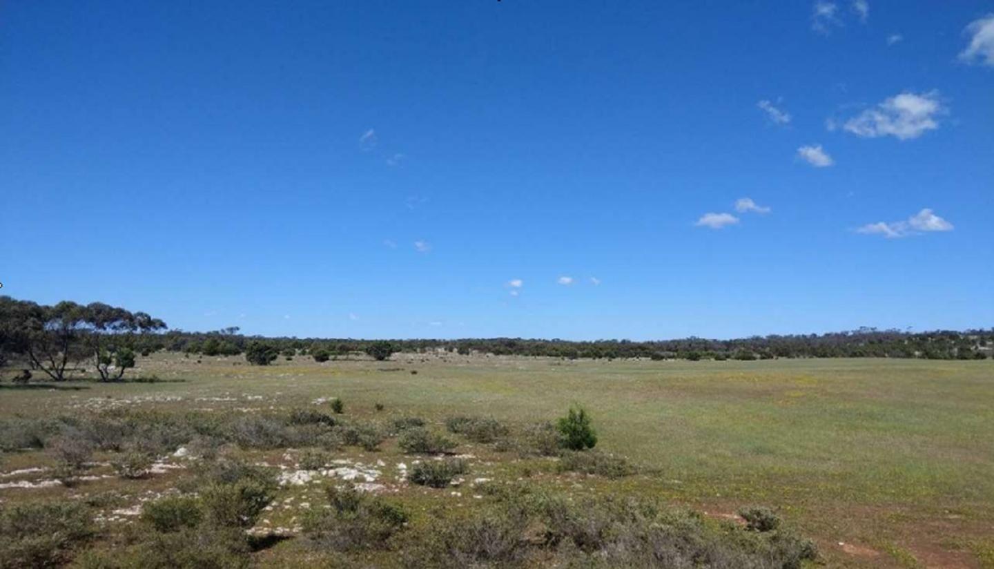 Oakdale pegs new ground in SA hunt for Kaolin-Halloysite