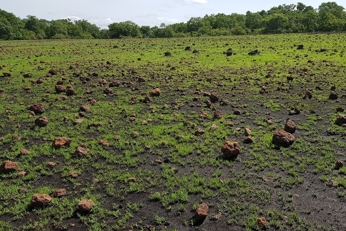 Lindian locks in monster Guinea bauxite project