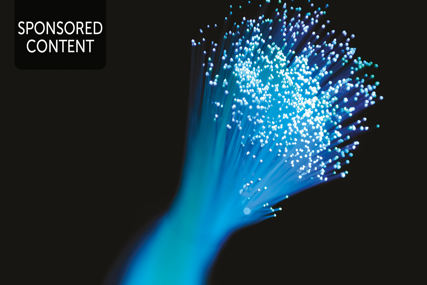 COVID-19 and the art of disruption