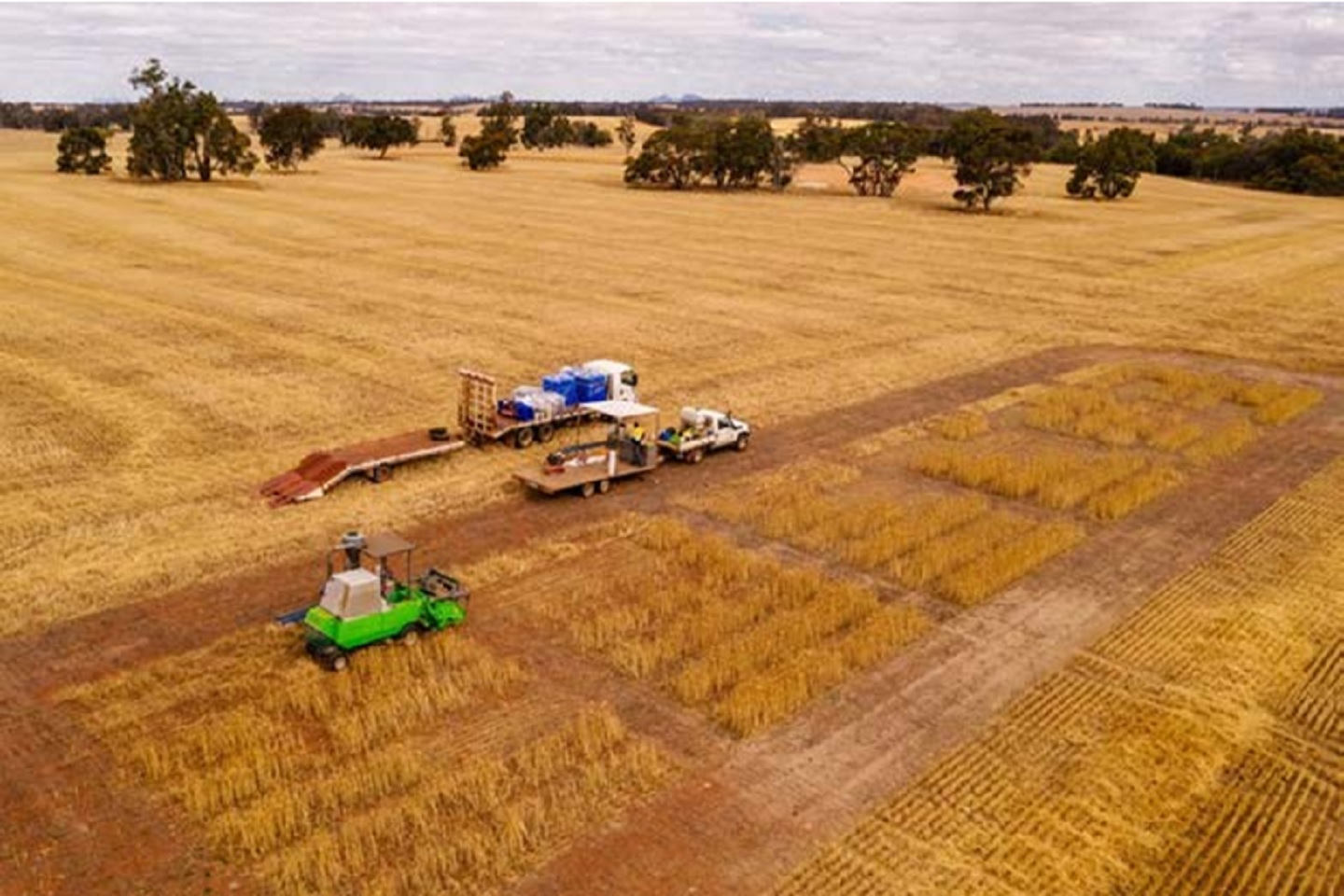 Lithium Australia harvests  battery waste as fertiliser
