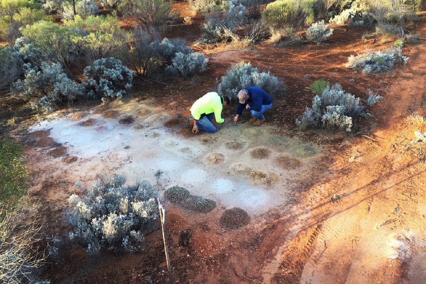 Legend grows Mawson nickel discovery