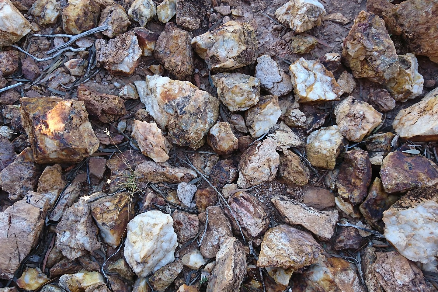 Native Minerals aiming to hit the high notes at Music Well