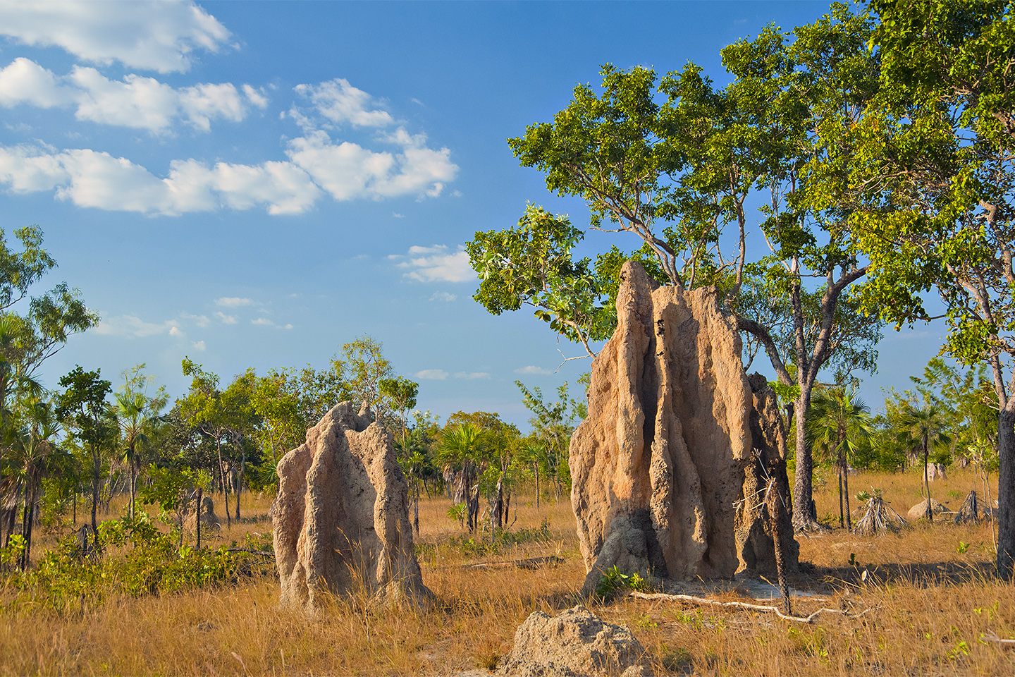 Lithium Australia to retain exposure to core Charger projects