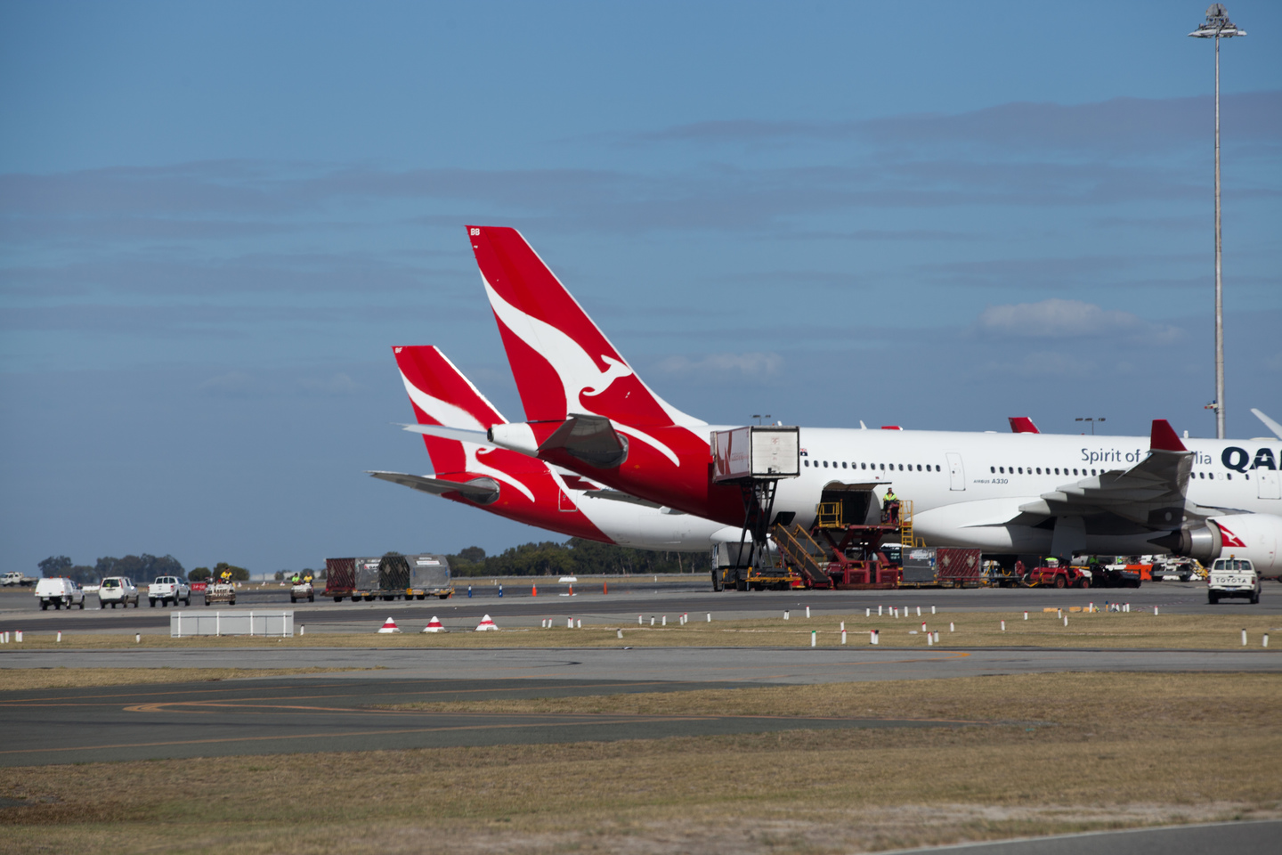 Qantas boss calls for reopening this year