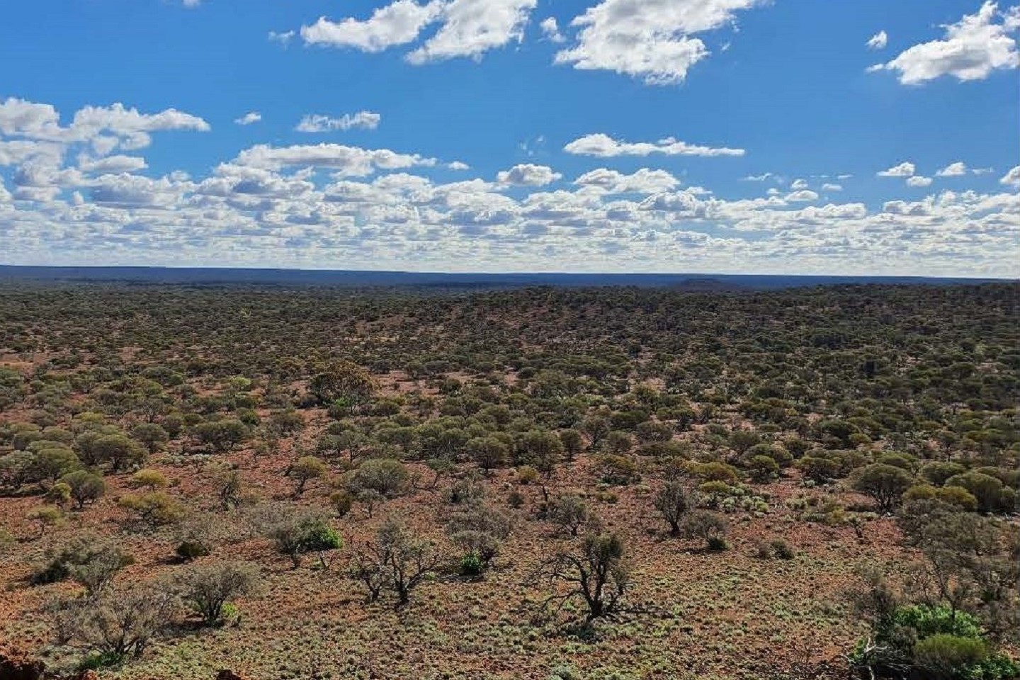 Aldoro lights up new WA base metal electromagnetic targets