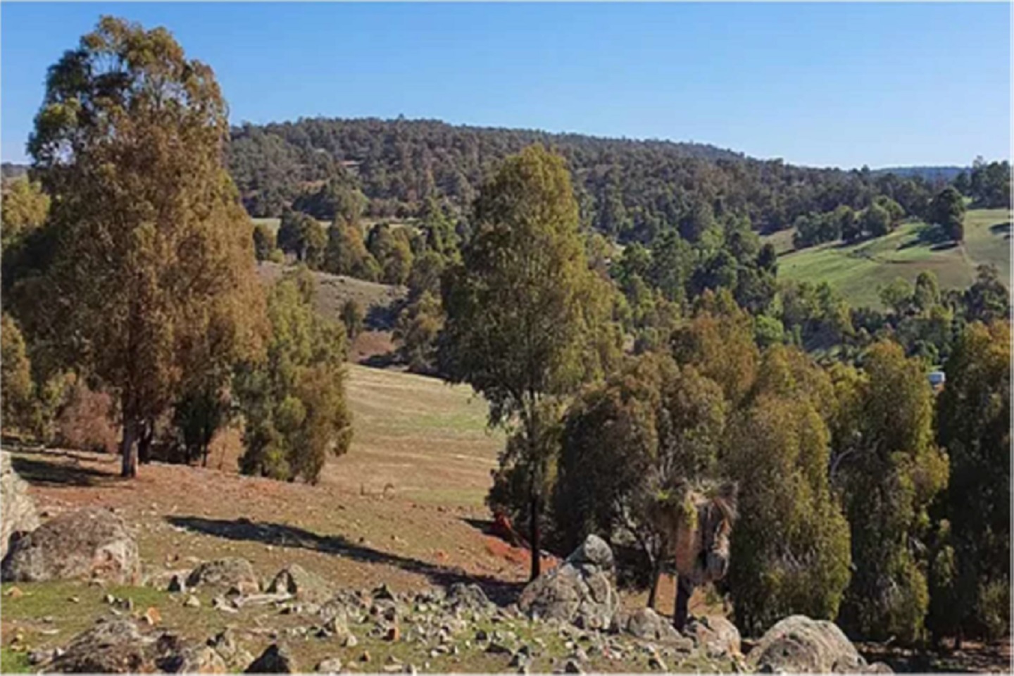 Oar launches nickel-PGE hunt near WA’s Julimar discovery