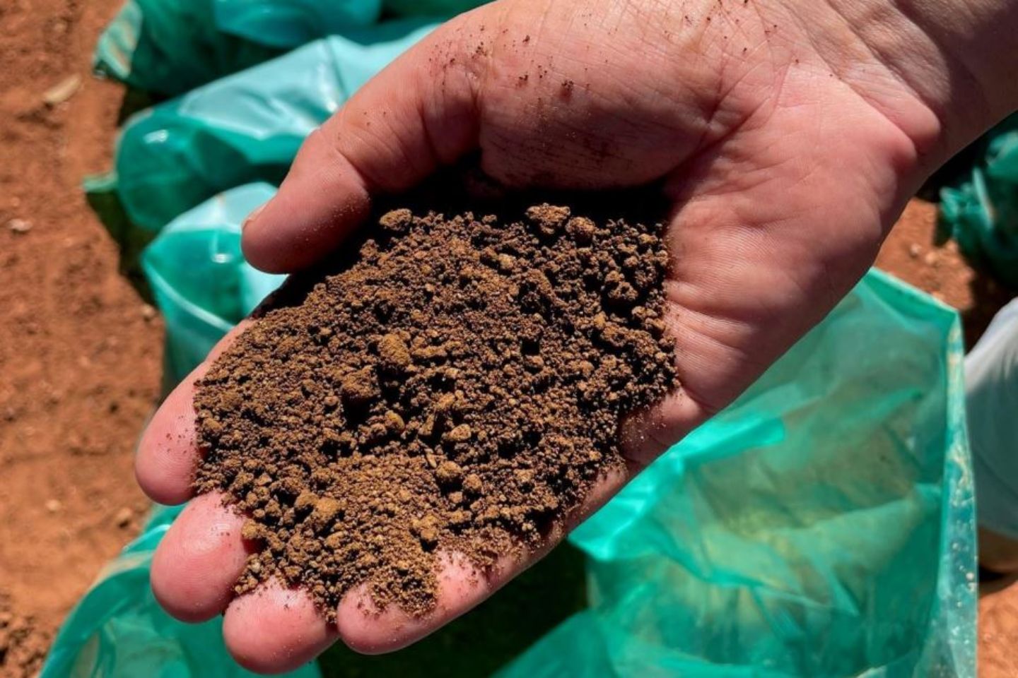 Panther strikes high-grade nickel and cobalt