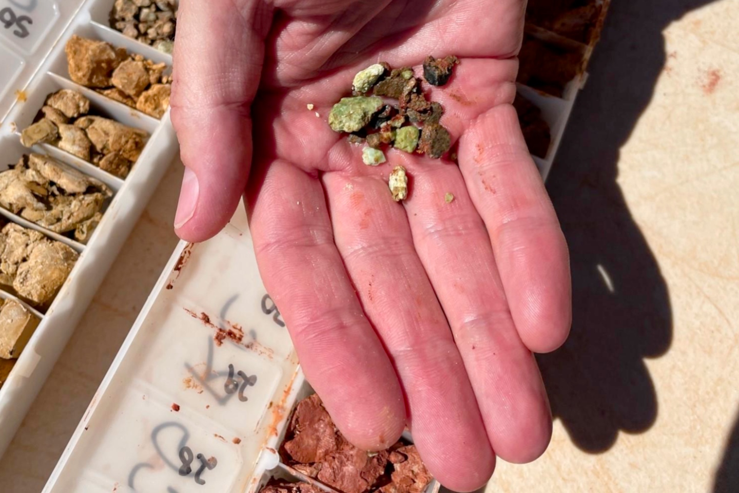 Panther pounces on high-grade WA nickel-cobalt