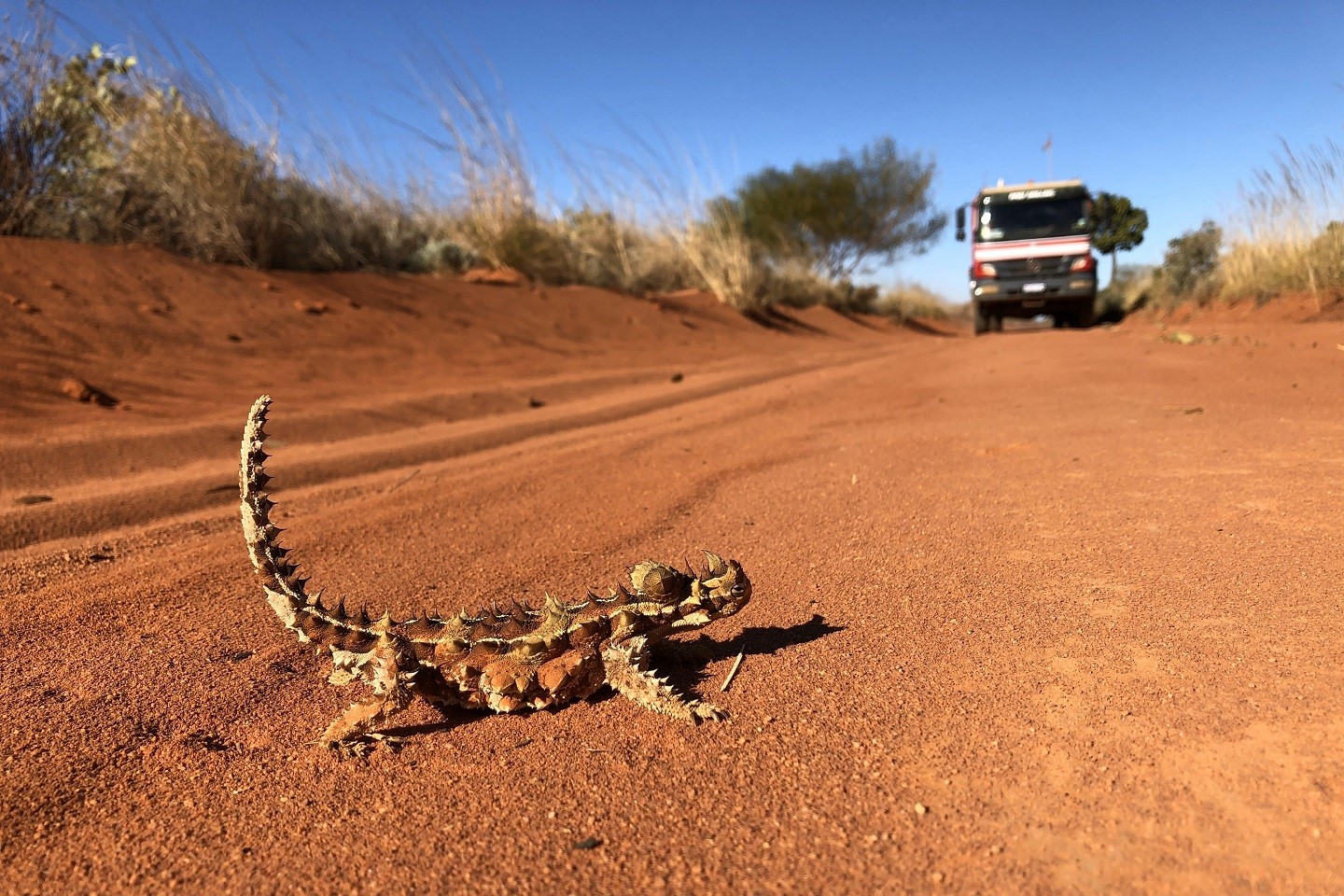 White Cliff rare earth hits spark geological jigsaw puzzle