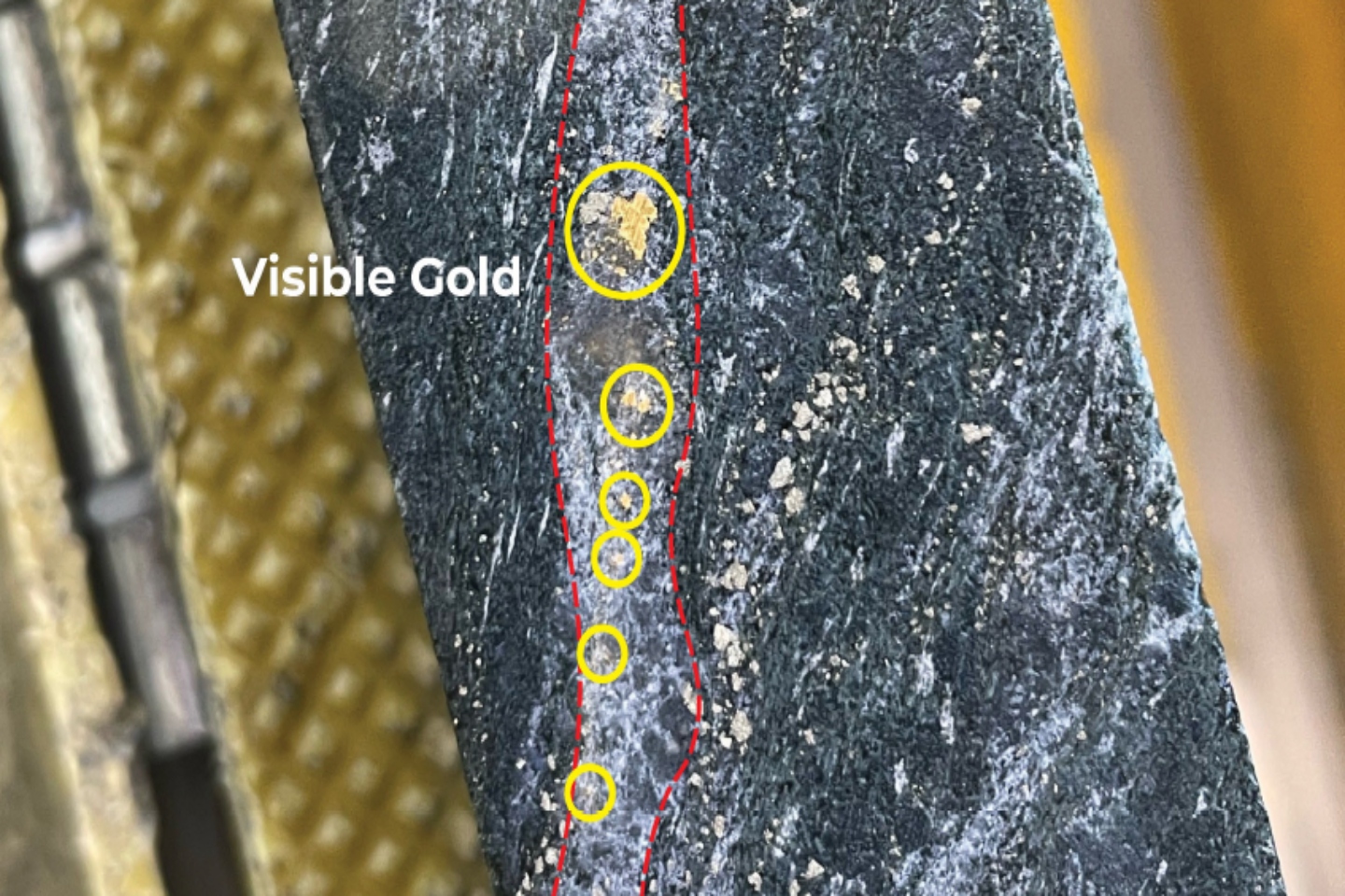 Gold strikes sweeten the pot for Meeka at Murchison