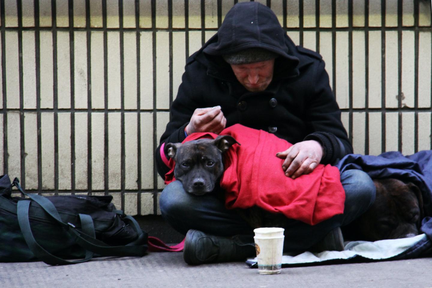 Man’s best friend silently suffers as homelessness bites hard this winter