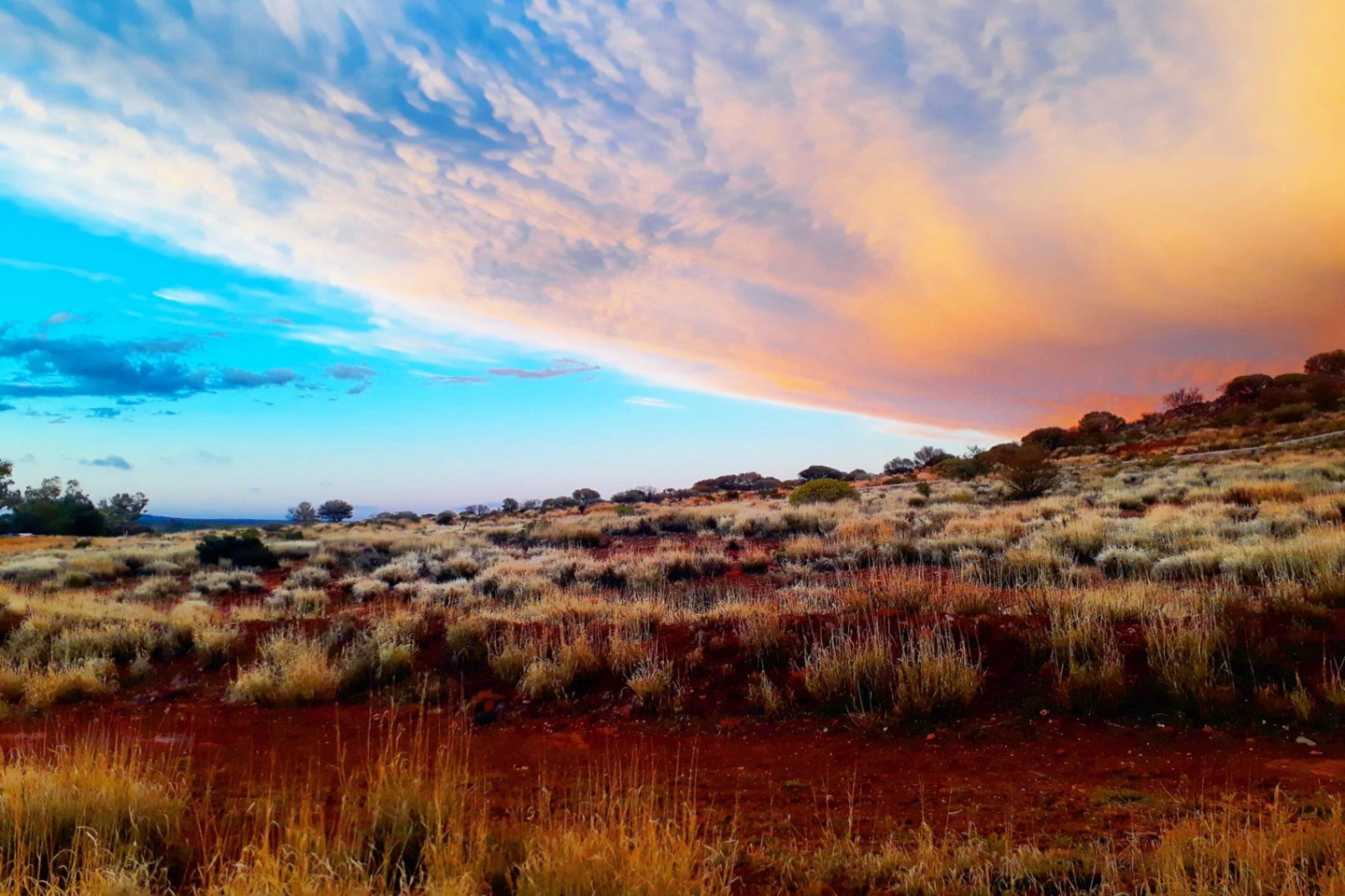 Javelin confirms anomalous rare earths at Goldfields project