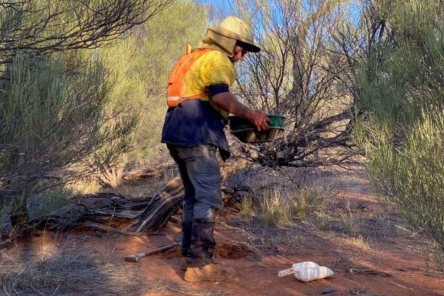 Terrain finds gold, copper-nickel anomalies in Mid West