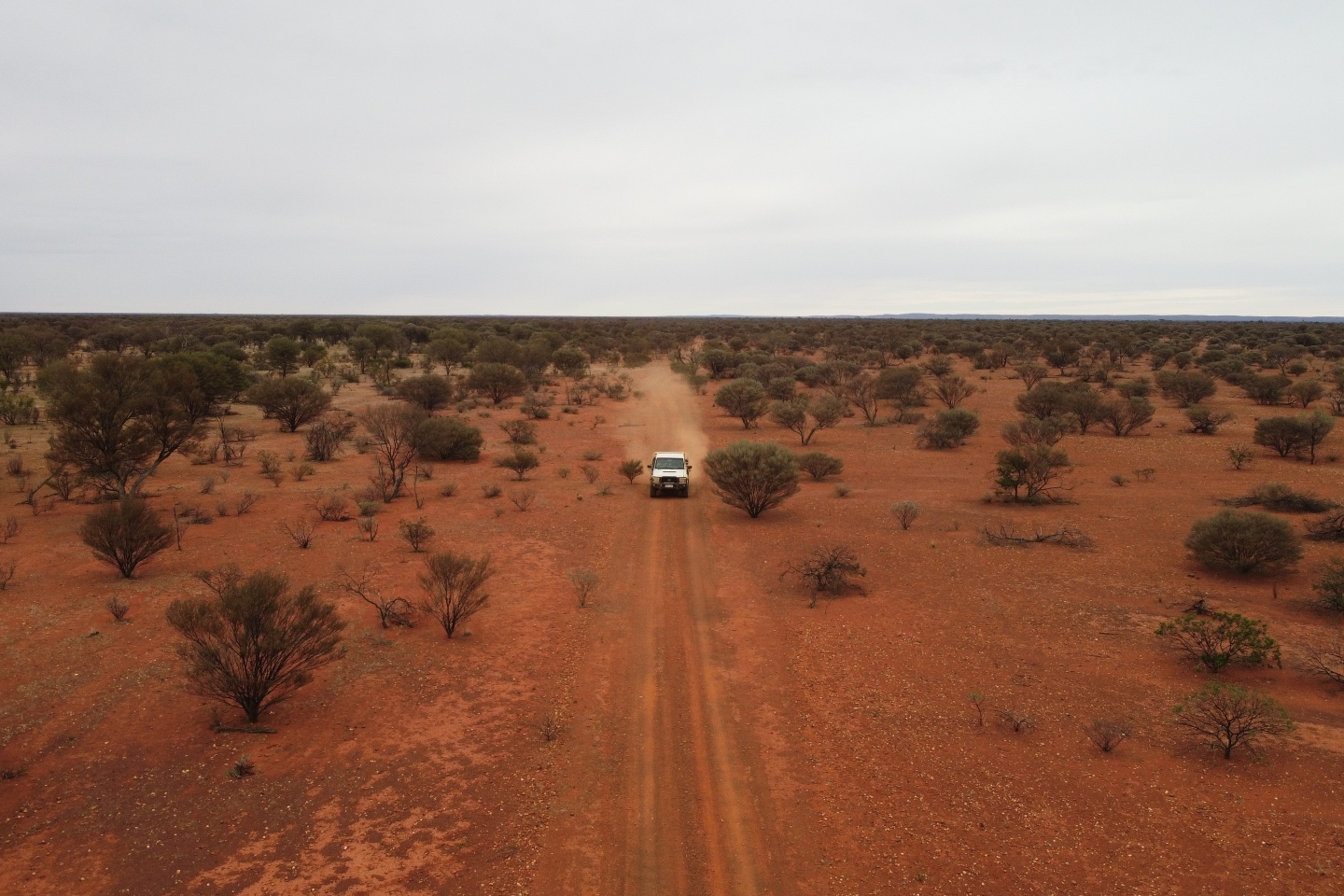 Strickland Metals to kick off Yandal heritage survey