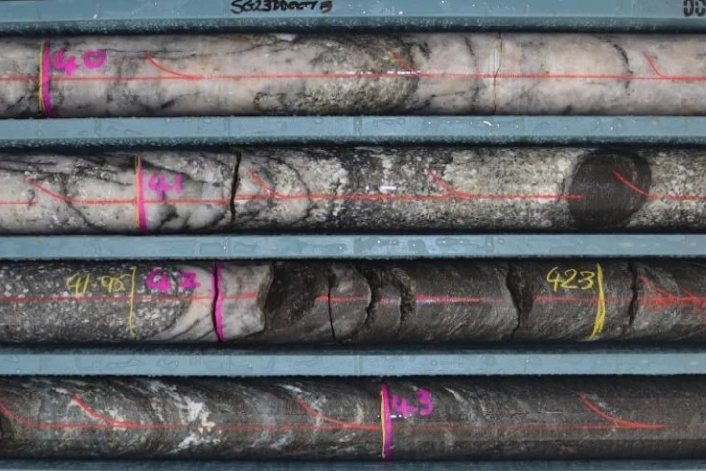 Salmon Gums bares gold teeth for Aruma