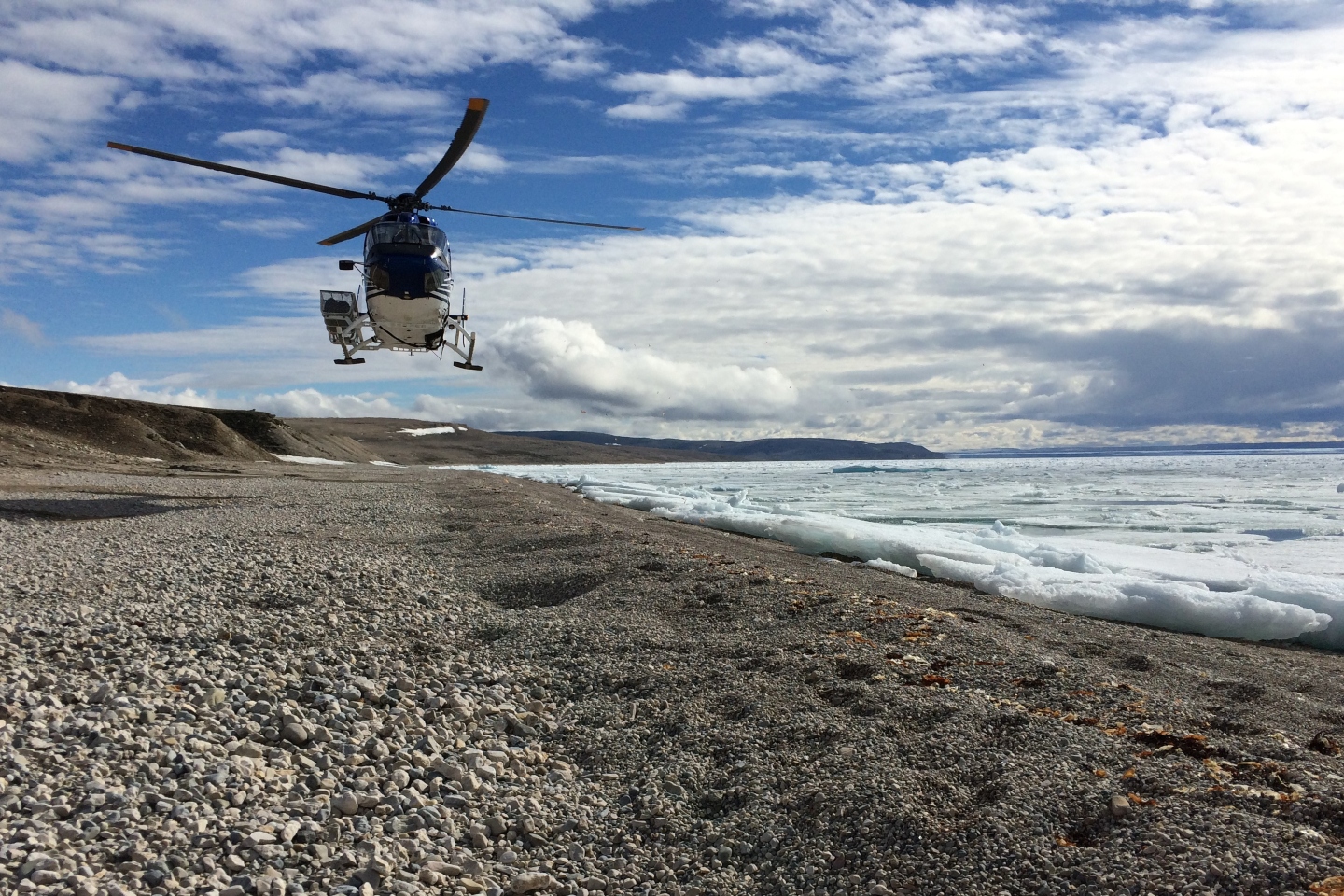 AMERICAN WEST MEATS SEAL HELI BULLSNBEARS 1440 x 960