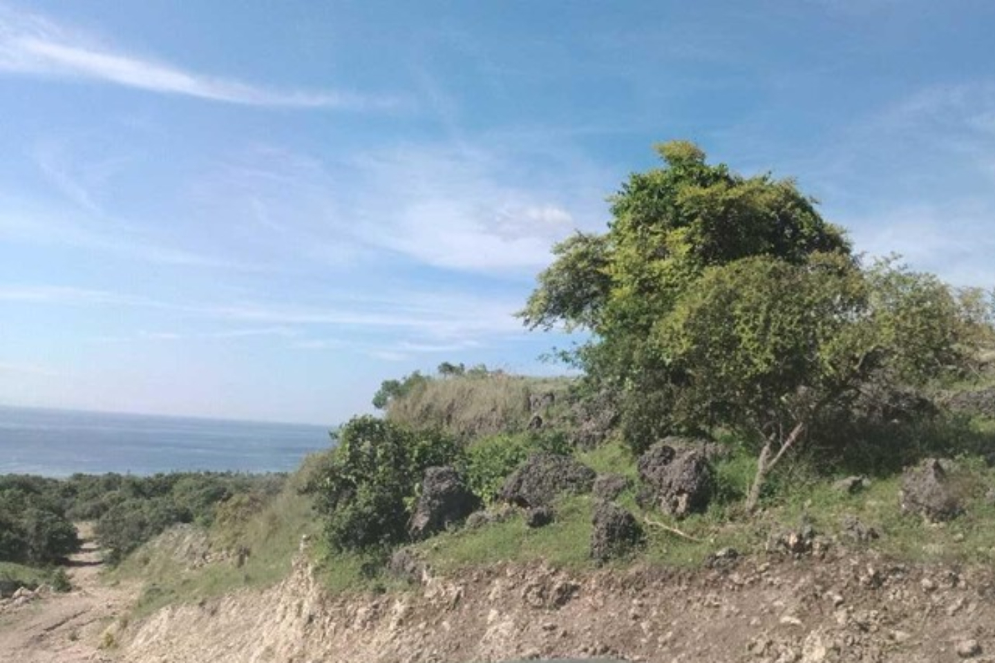 timor