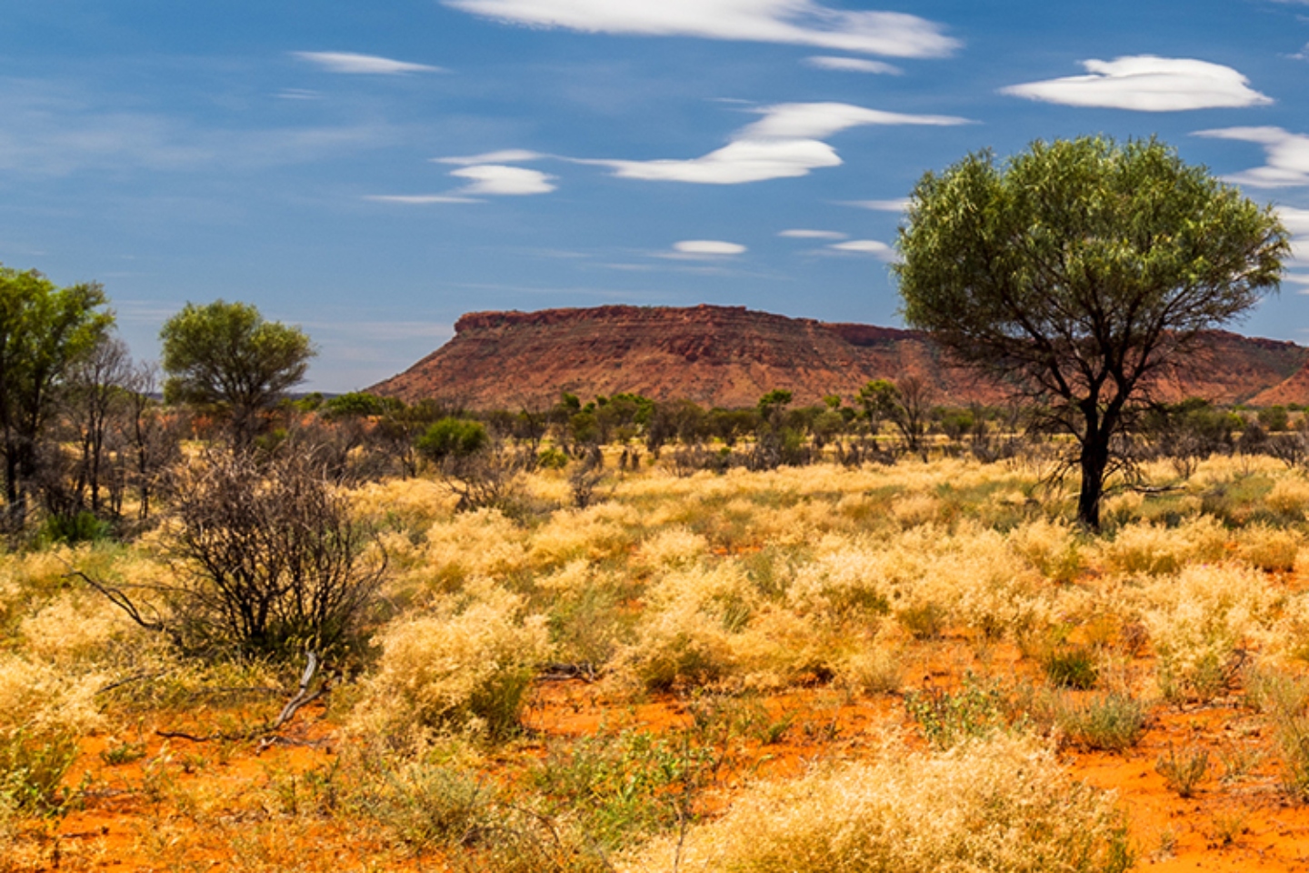 BMG RESOURCES BMG Au BULLSNBEARSWA 1440x960