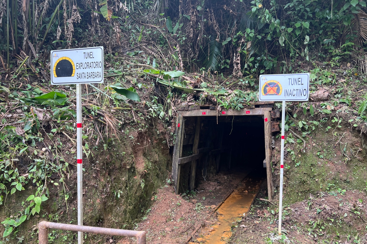 AGUIA_ADIT COLOMBIA_BNBWA