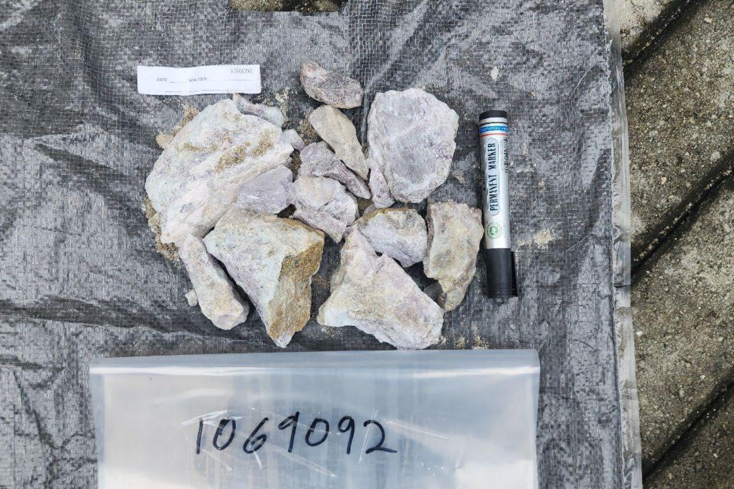 Samples from Chariot Corporation's Fonlo project.