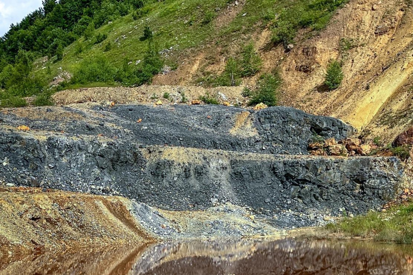 Middle Island_bobija_BNBWA