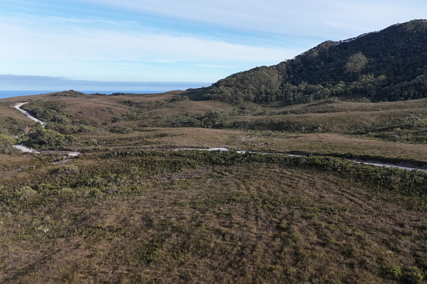 OCTAVA OCT FEDRN TAS BNBWA