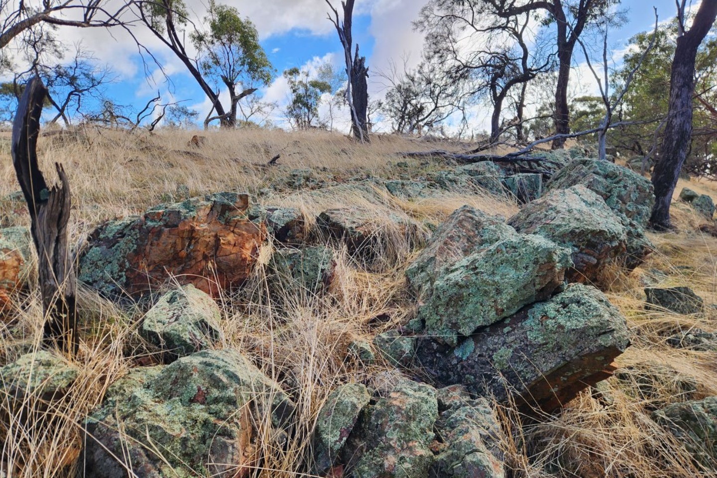 DALAROO_QUARTZITE OUTCROP WATHEROO_BNBWA
