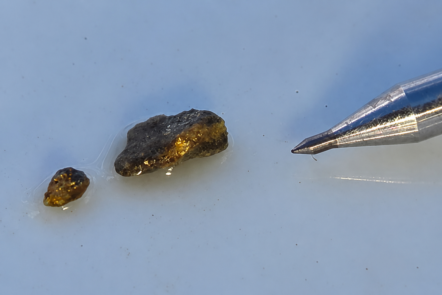Great Southern Mining visible gold 26GBRC035 45to46m Golden Boulder WA BNBWA