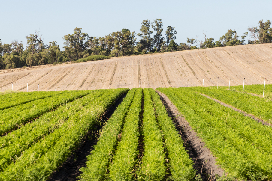 Agribusiness 2019