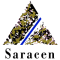 Saracen Mineral Holdings