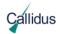 Callidus Welding Solutions