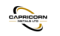 Capricorn Metals