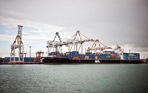 Nalder orders ports review