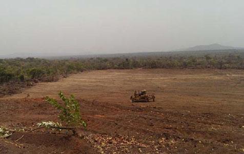 Papillon commences site works at Fekola