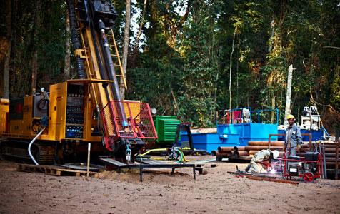 Elemental appoints new MD