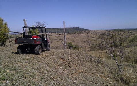 GBM to raise $1.14m through placement