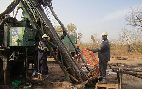 Papillon offers incentive for shareholders